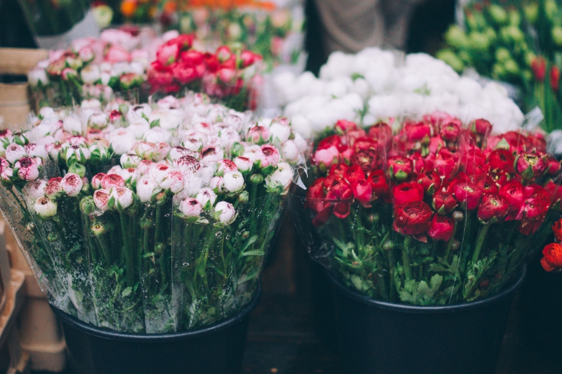 fleuriste-VENCE-min_farmers-market-1209712