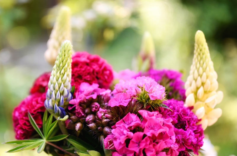 fleuriste-VENCE-min_flowers-5369794